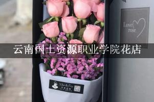 云南国土资源职业学院周围花店，比较好的店