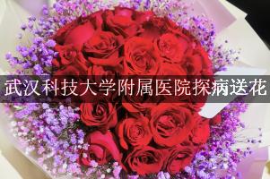 武汉科技大学附属医院周围花店，探病送花