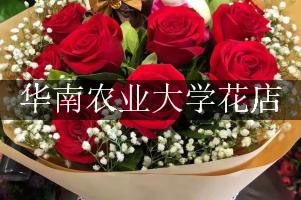 华南农业大学周围哪个花店好（包送货上门）