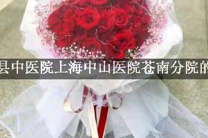 苍南县中医院上海中山医院苍南分院附近哪有花店（可送花