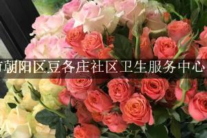 北京市朝阳区豆各庄社区卫生服务中心周围有花店吗？（能