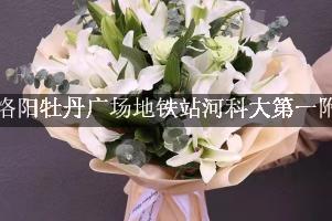 怡祥阁商旅公寓(洛阳牡丹广场地铁站河科大第一附属医院店