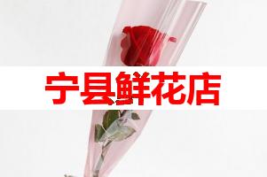 宁县鲜花店(可送货上门)
