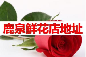 鹿泉鲜花店地址(可送货上门)