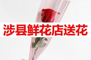 涉县鲜花店送花(可送货上门)