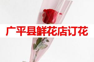 广平县鲜花店订花(可送货上门)