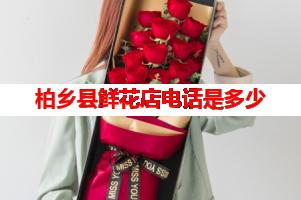 柏乡县鲜花店电话是多少(可送货上门)