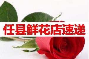任县鲜花店速递(可送货上门)