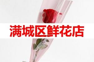 满城区鲜花店(可送货上门)