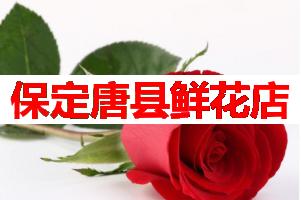 保定唐县鲜花店(可送货上门)