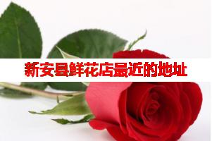 新安县鲜花店最近的地址(可送货上门)