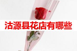 沽源县花店有哪些(可送货上门)