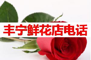 丰宁鲜花店电话(可送货上门)