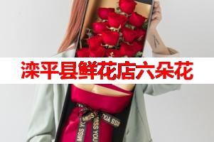 滦平县鲜花店六朵花(可送货上门)