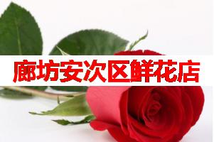 廊坊安次区鲜花店(可送货上门)
