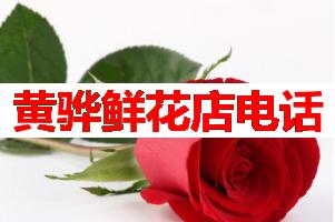 黄骅鲜花店电话(可送货上门)