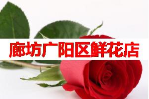 廊坊广阳区鲜花店(可送货上门)