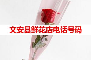 文安县鲜花店电话号码(可送货上门)