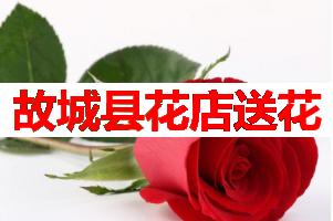 故城县花店送花(可送货上门)