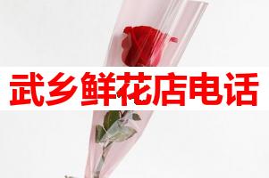 武乡鲜花店电话(可送货上门)
