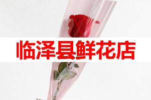 临泽县鲜花店(可送货上门)