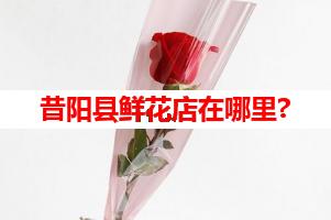 昔阳县鲜花店在哪里?(可送货上门)