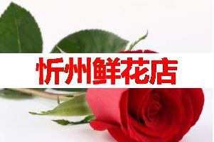 忻州鲜花店(可送货上门)