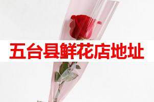 五台县鲜花店地址(可送货上门)