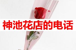 神池花店的电话(可送货上门)