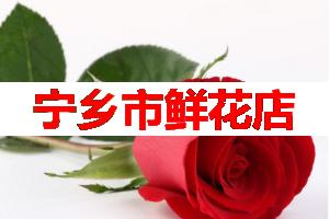 宁乡市鲜花店(可送货上门)
