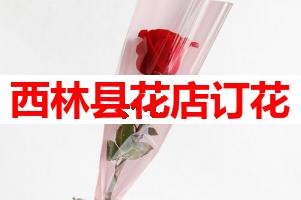 西林县花店订花(可送货上门)