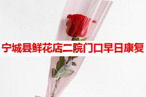 宁城县鲜花店二院门口早日康复(可送货上门)