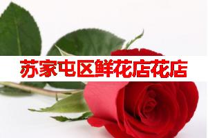 苏家屯区鲜花店花店(可送货上门)