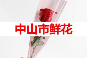 中山市鲜花(可送货上门)