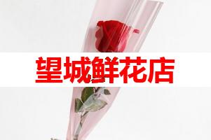 望城鲜花店(可送货上门)