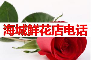 海城鲜花店电话(可送货上门)