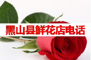 黑山县鲜花店电话(可送货上门)