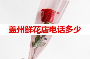 盖州鲜花店电话多少(可送货上门)