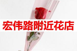 宏伟路附近花店(可送货上门)