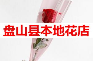 盘山县本地花店(可送货上门)