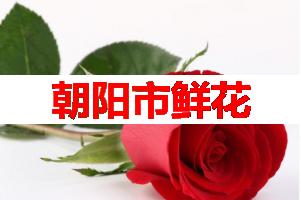 朝阳市鲜花(可送货上门)