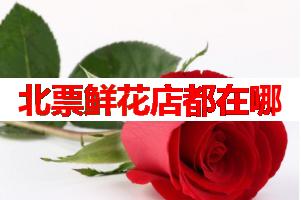 北票鲜花店都在哪(可送货上门)