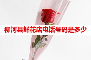 柳河县鲜花店电话号码是多少(可送货上门)