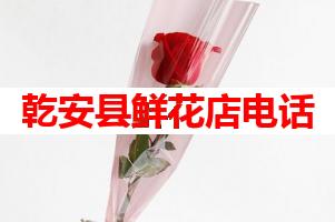 乾安县鲜花店电话(可送货上门)