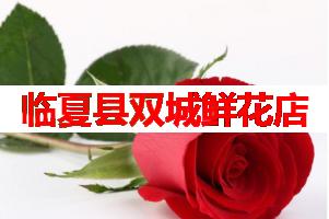临夏县双城鲜花店(可送货上门)