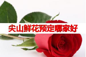 尖山鲜花预定哪家好(可送货上门)