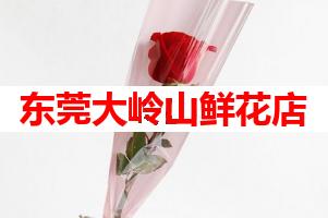 东莞大岭山鲜花店(可送货上门)