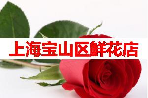 上海宝山区鲜花店(可送货上门)