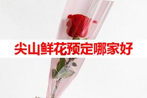 尖山鲜花预定哪家好(可送货上门)