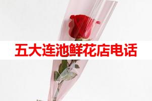 五大连池鲜花店电话(可送货上门)